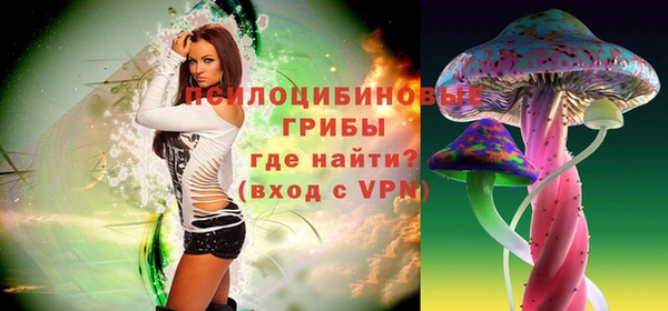 гашик Белоозёрский