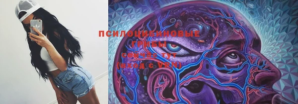 гидра Бронницы