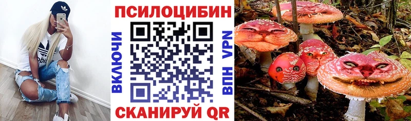 Галлюциногенные грибы GOLDEN TEACHER  Купить закладки  Юрьев-Польский 
